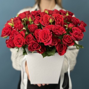 25 красных кустовых роз в коробке